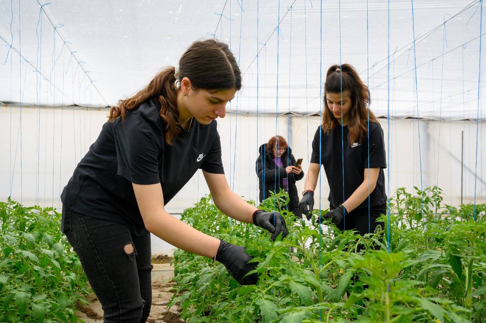 Mandru sa fiu fermier, agricultura 4.0, world vision romania